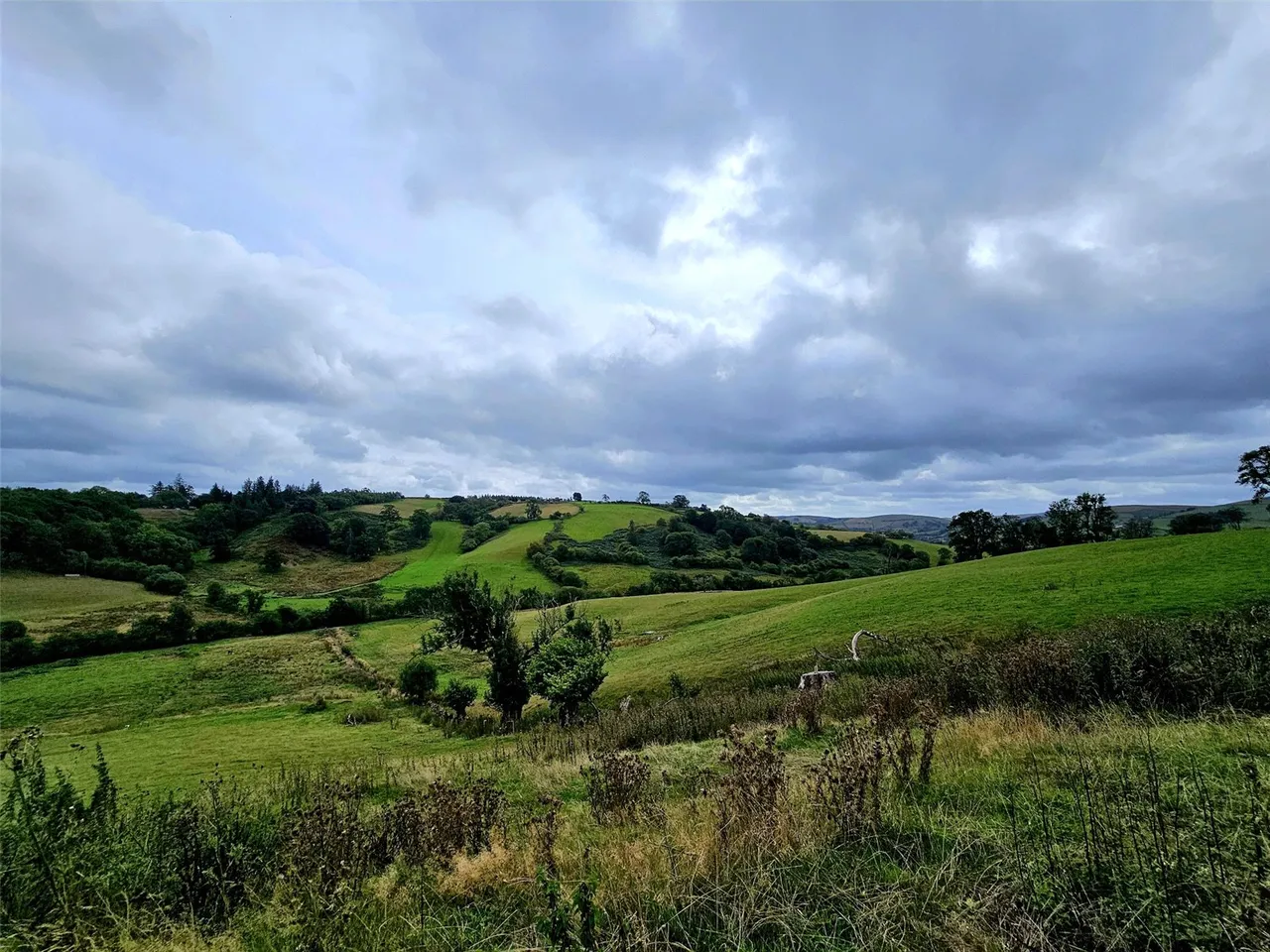 Llanbister, Llandrindod Wells, LD1 6UL, photo 14