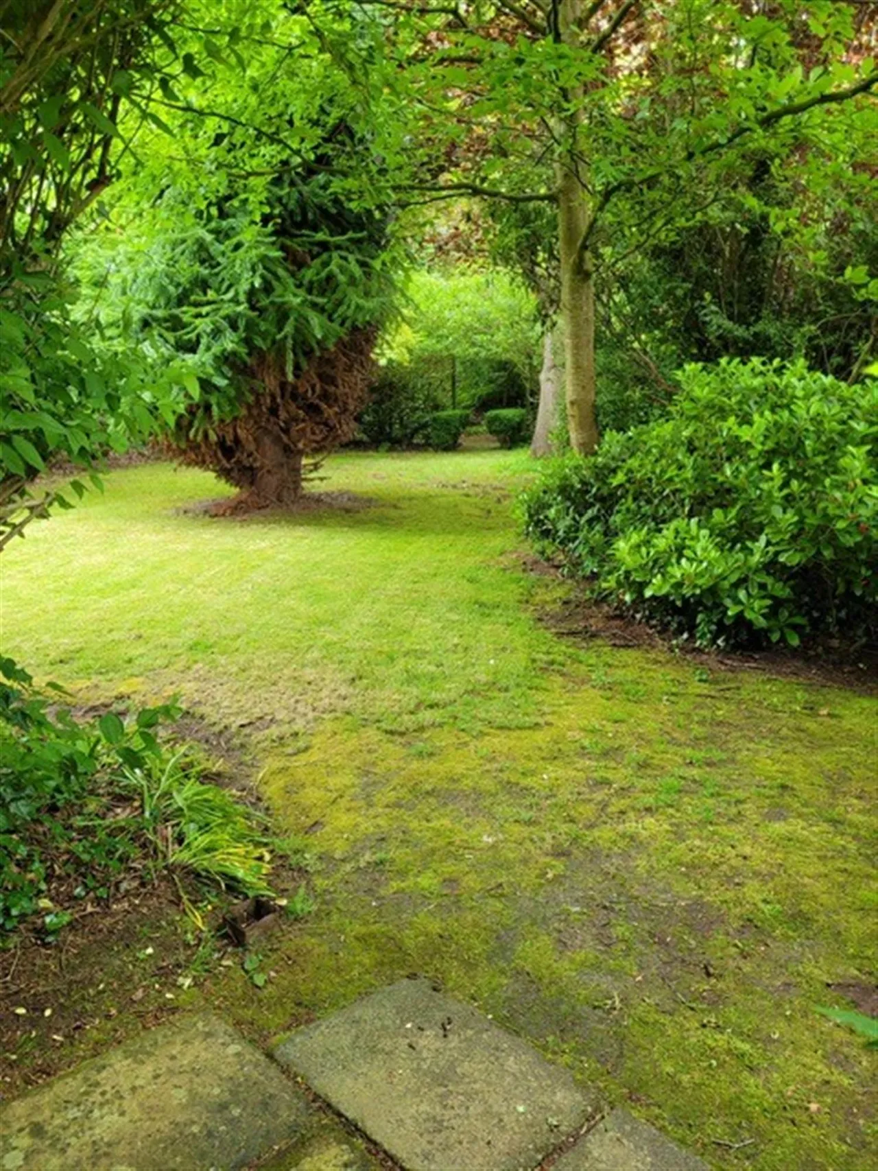 Main Street, Royal Hillsborough, BT26, photo 52