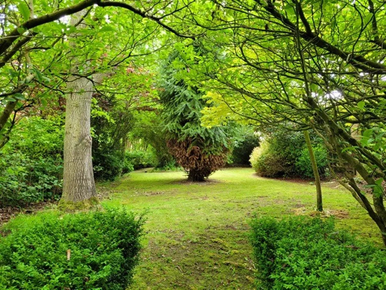 Main Street, Royal Hillsborough, BT26, photo 49