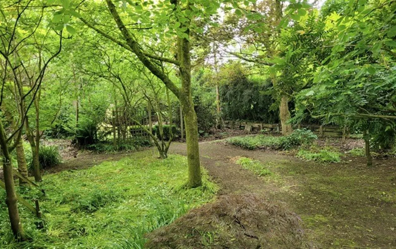 Main Street, Royal Hillsborough, BT26, photo 47