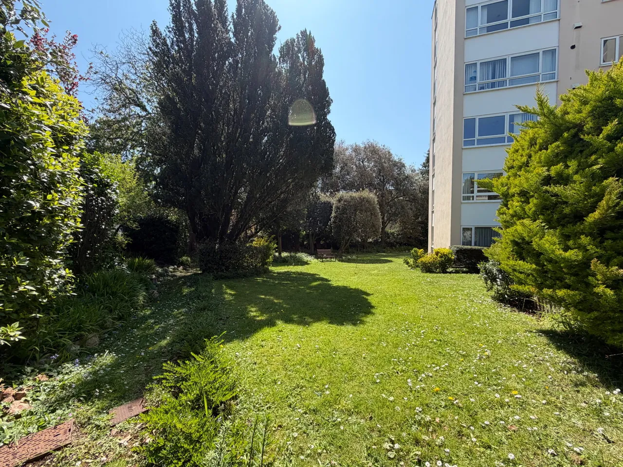 Wellswood, Torquay, photo 19