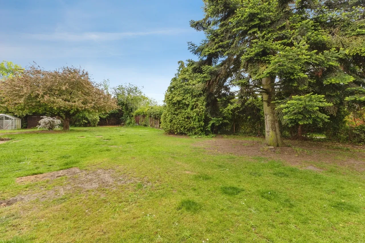 Dereham Road, Watton, Thetford, Norfolk, IP25, photo 4