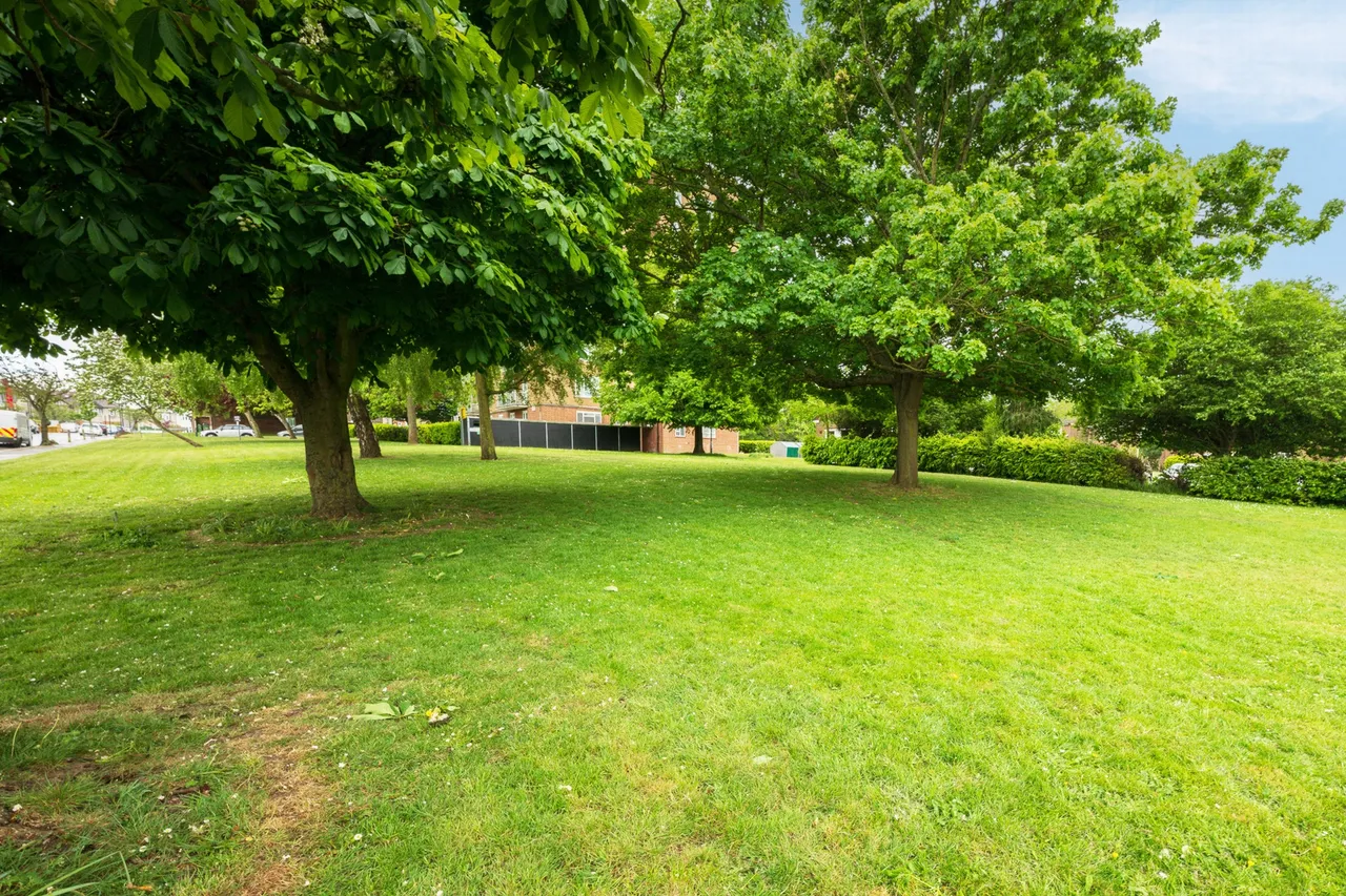Strongbow Crescent, Eltham, SE9 1DR, photo 12