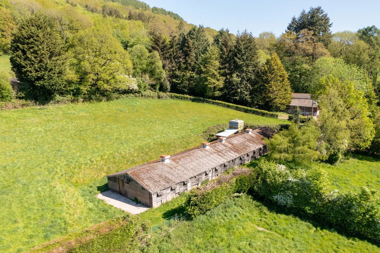 Llandogo, NP25, photo 8