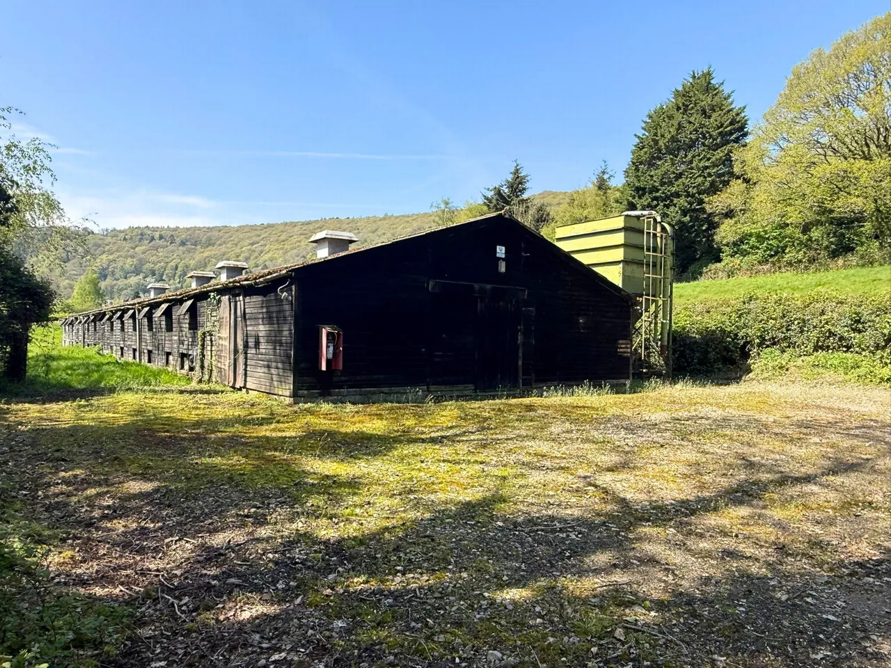 Llandogo, NP25, photo 22