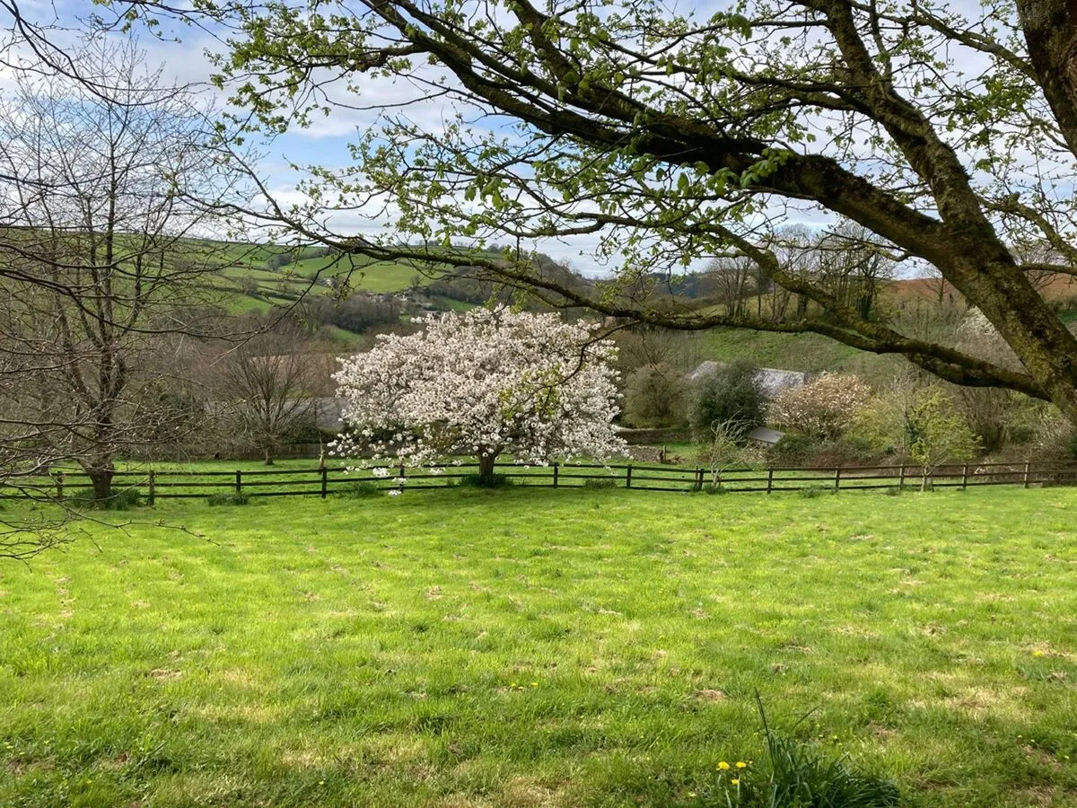 Ashprington, Totnes, TQ9, photo 36