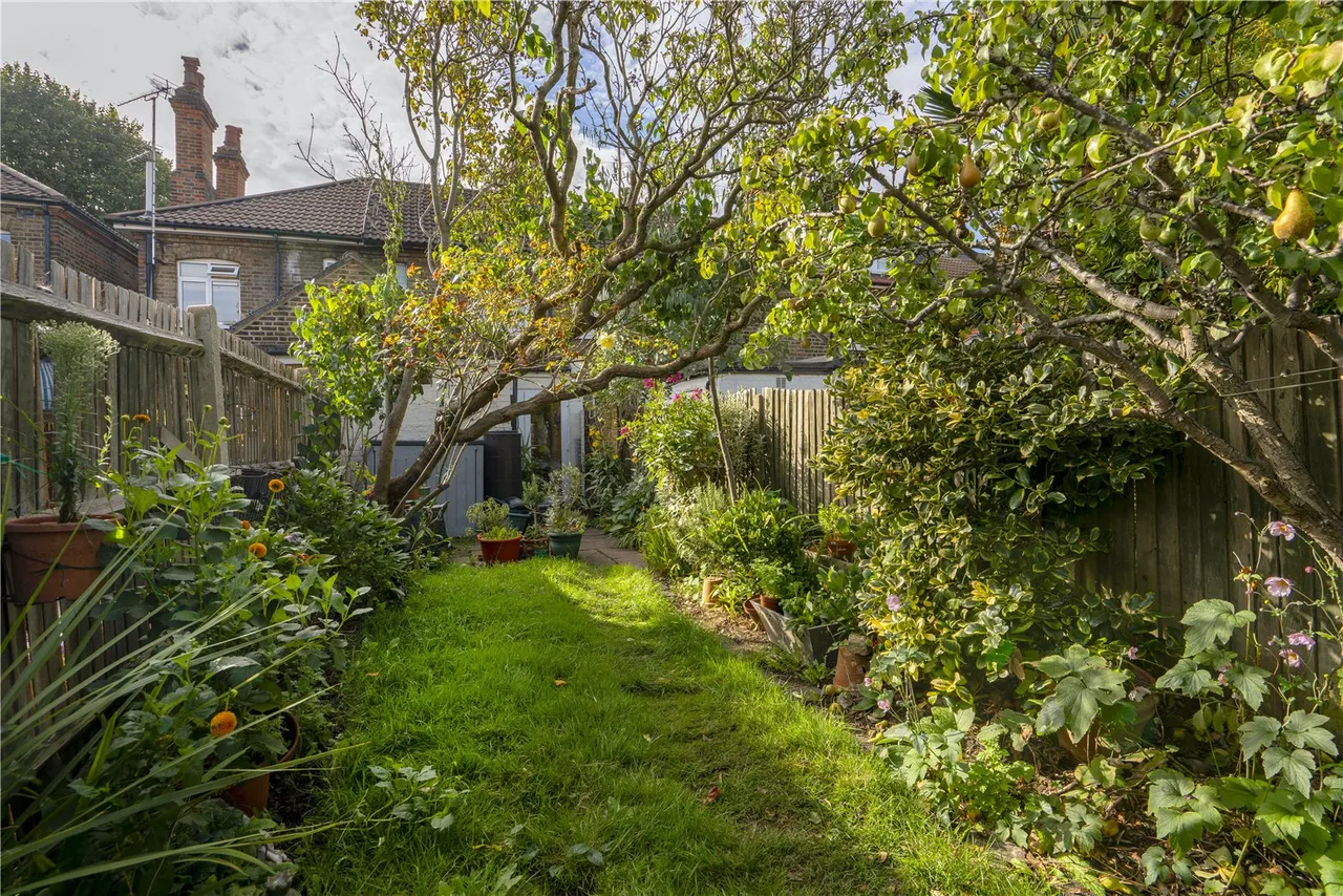 Manor Grove, Richmond, TW9, photo 11