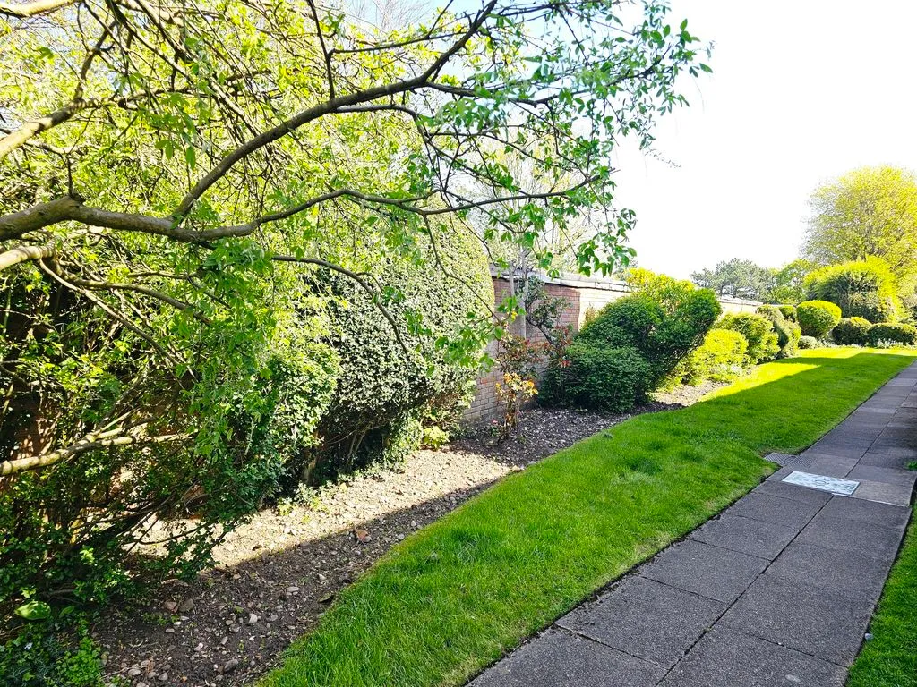 Moorfield Drive, Boldmere, B73, photo 15