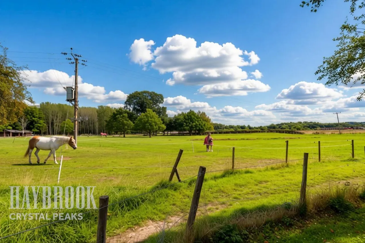 Wallingwells Hall, Worksop, photo 31