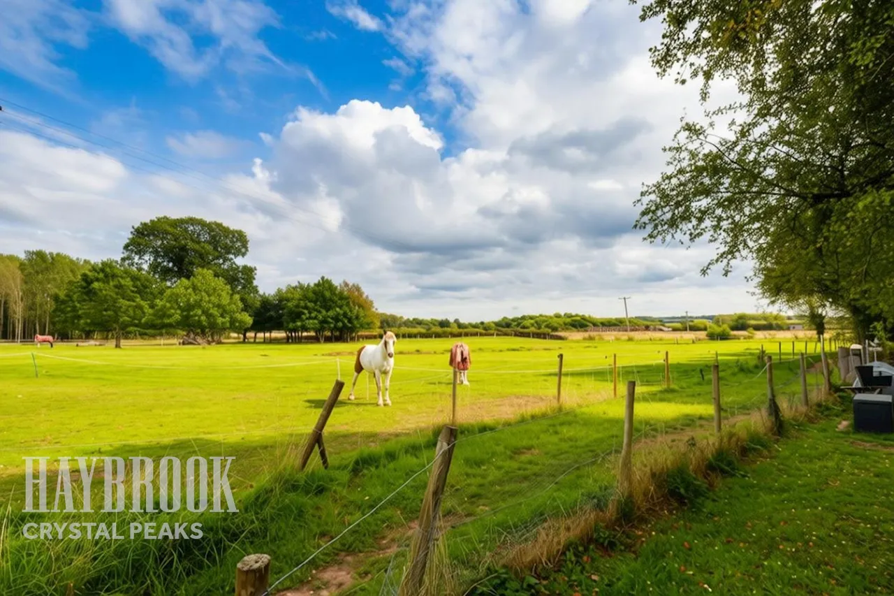 Wallingwells Hall, Worksop, photo 32