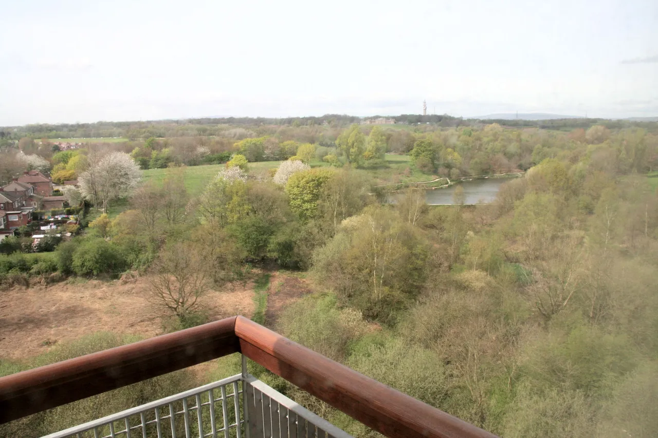 Lakeside Rise, Tower, M9, photo 10