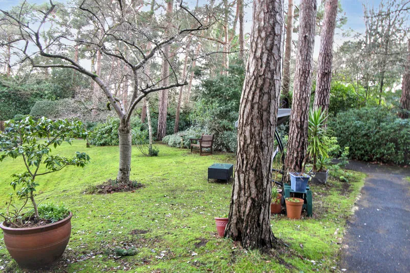 Queens Park West Drive, Bournemouth BH8 9DA, photo 12