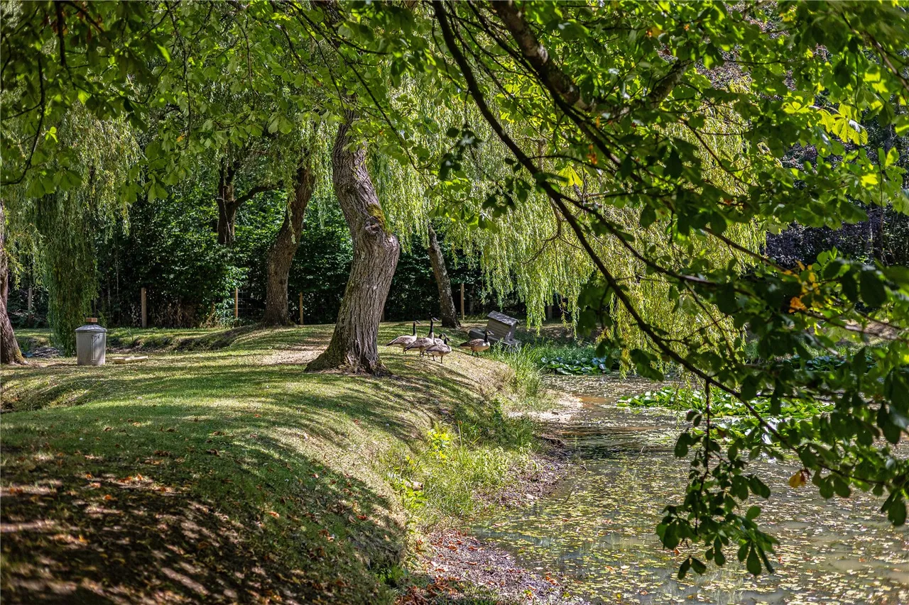 A Magnificent Country Manor Estate with approximately Nine Acres, photo 34