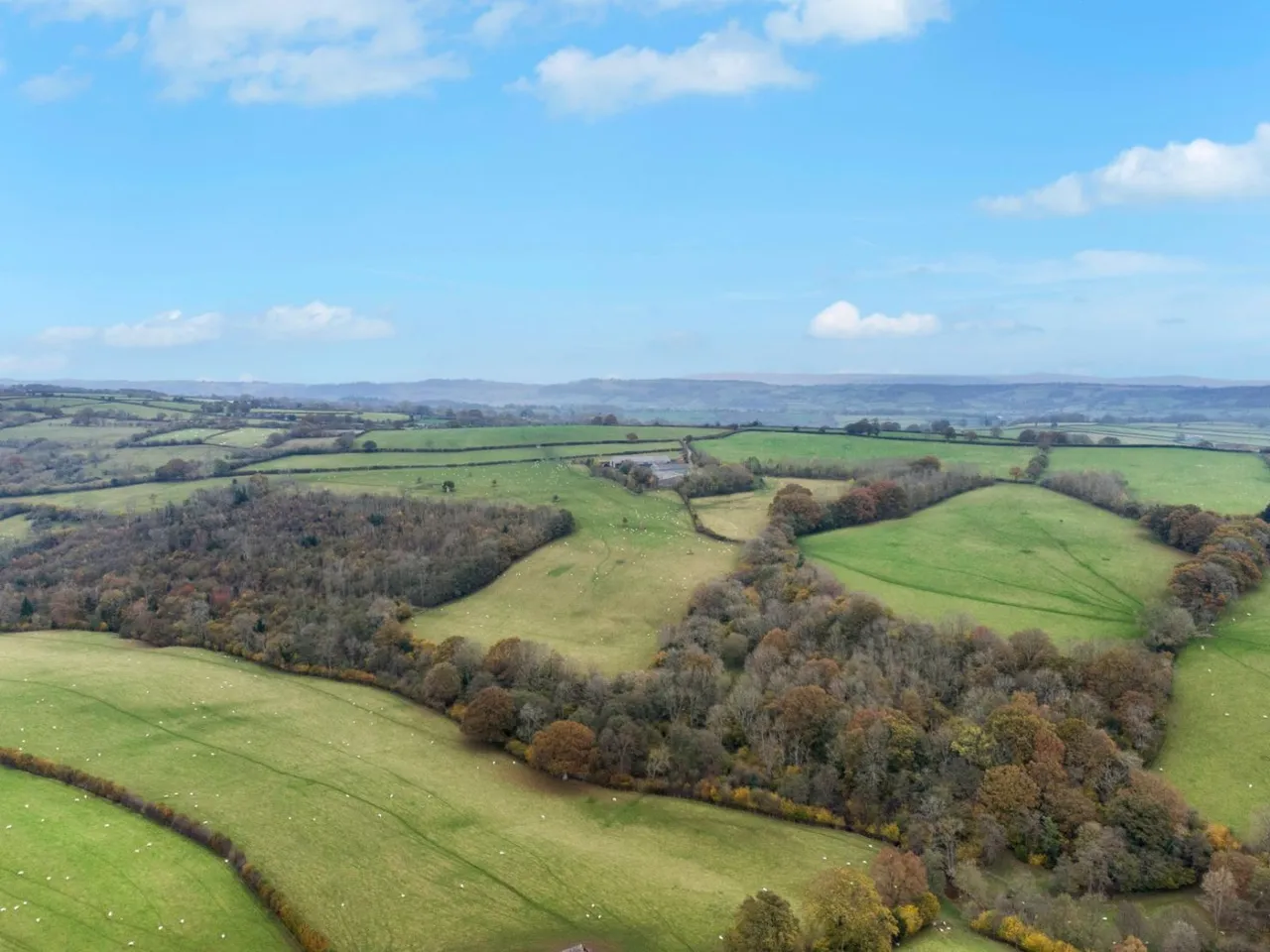 Cefn-Ceist Farm, Michaelchurch Escley, Hereford, Herefordshire, HR2 0PT, photo 4