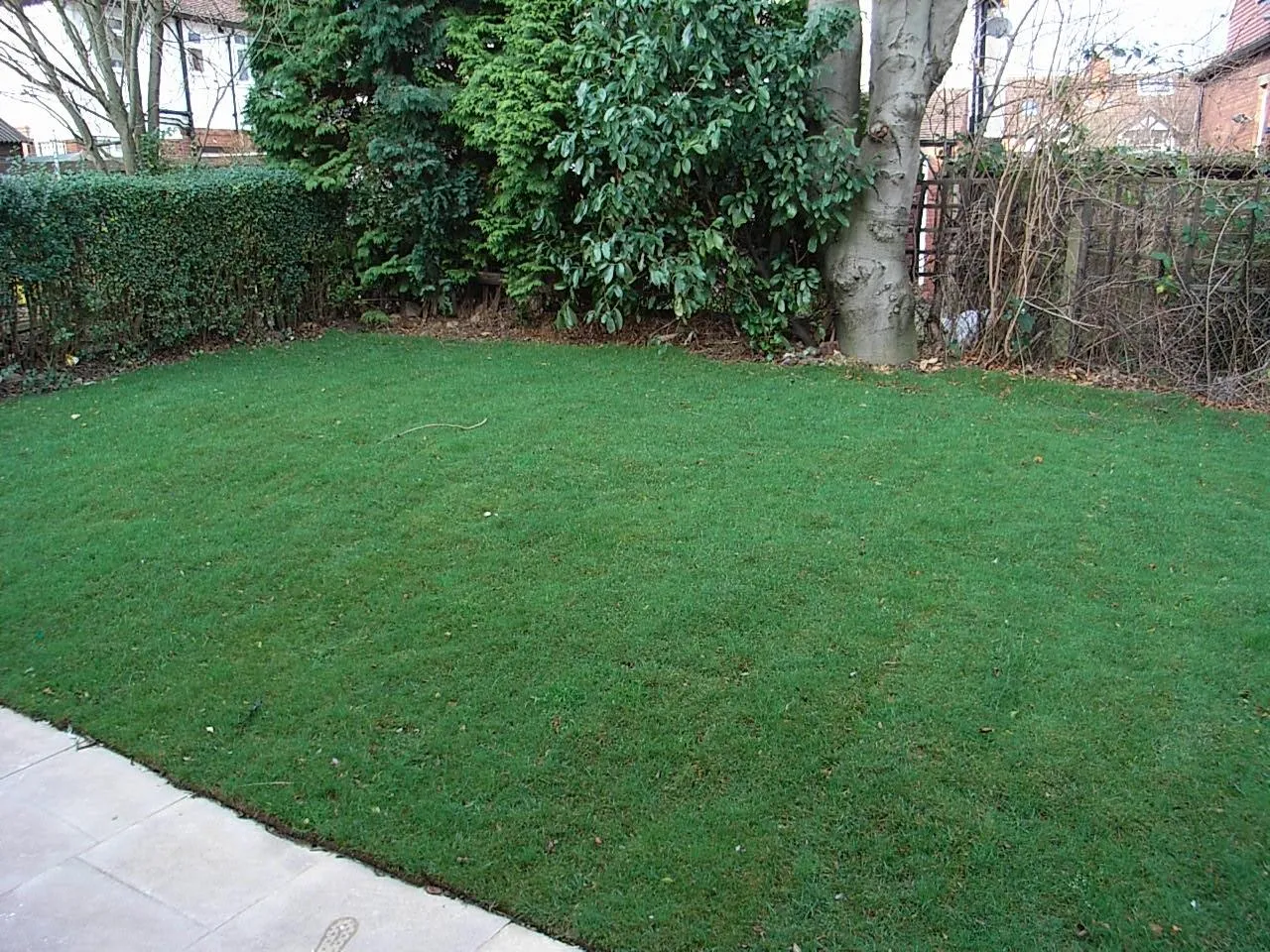 Grimthorpe Place, Headingley, LS6, photo 9