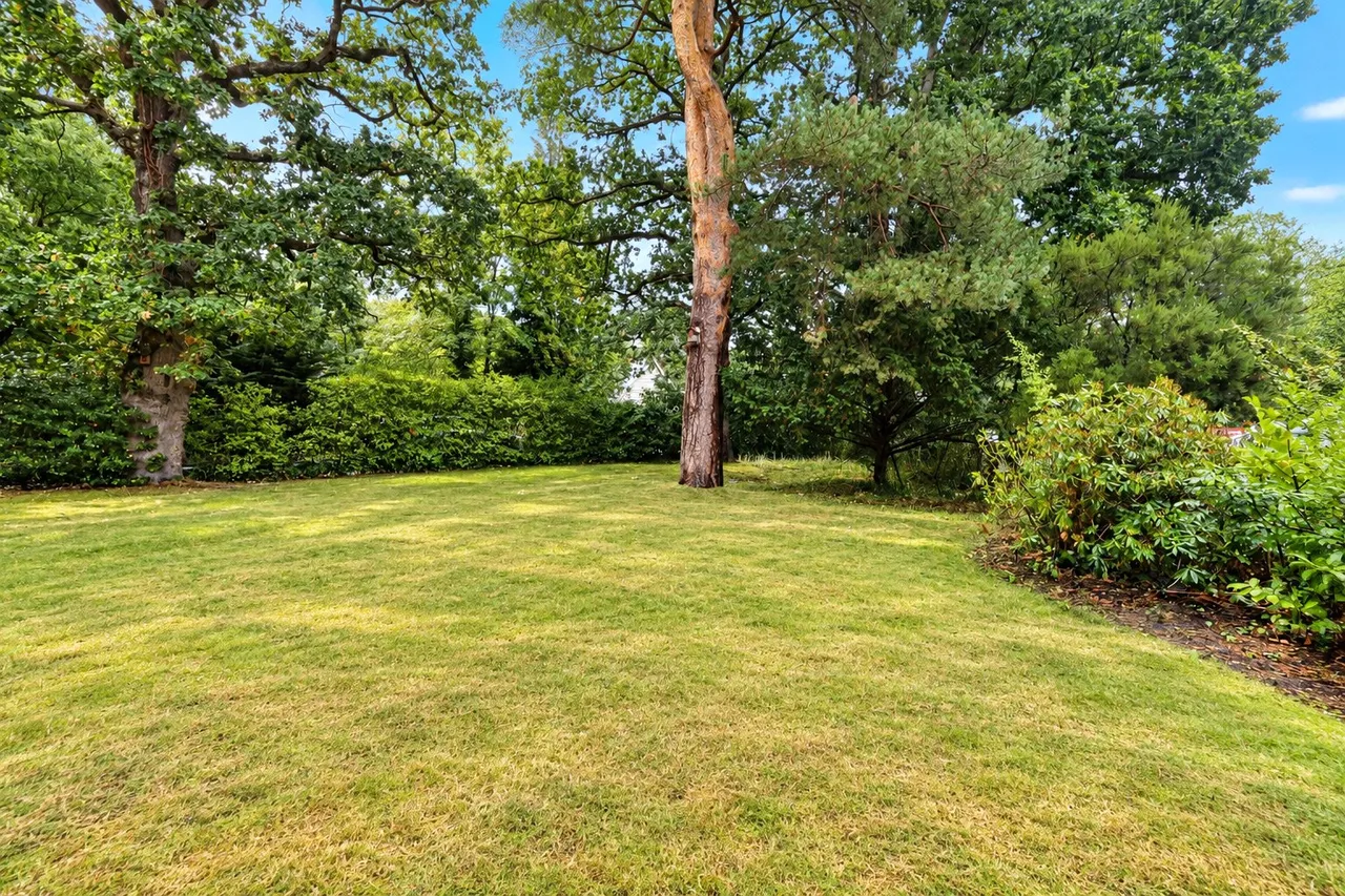 Park Road, Woking, GU22, photo 11