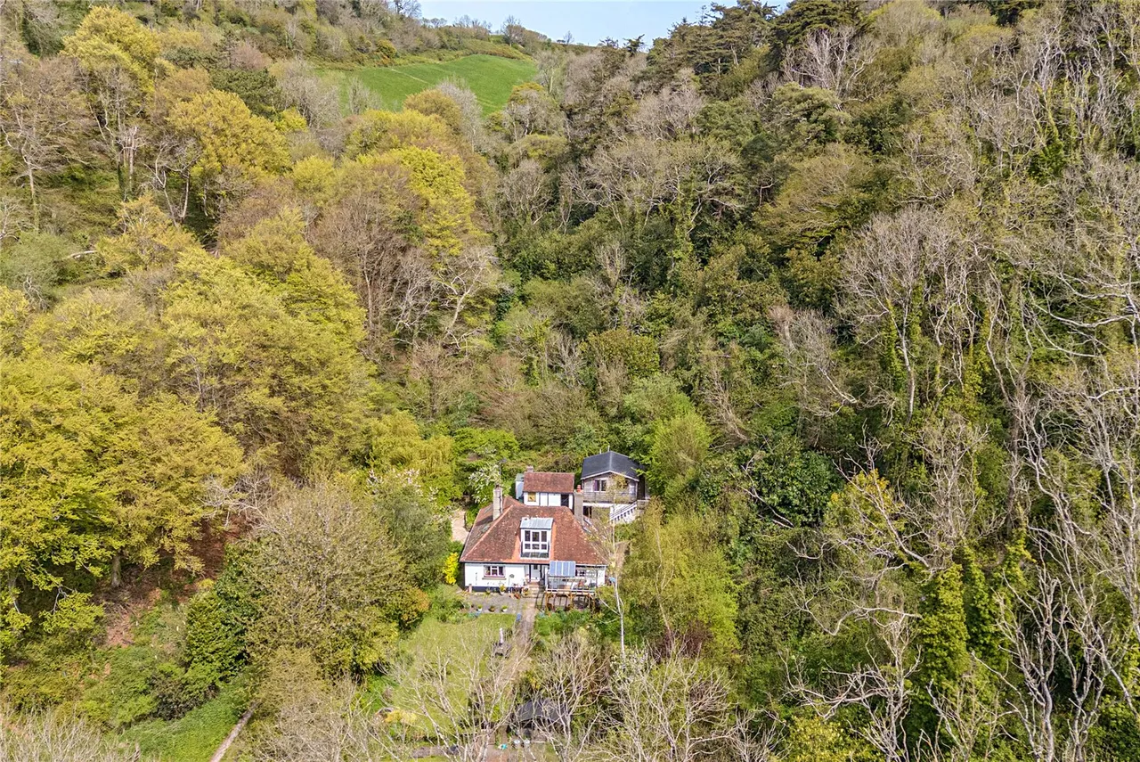 Rousdon, Lyme Regis, Devon, DT7 3XU, photo 17