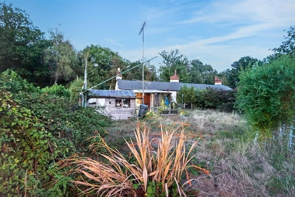Stanford Common, Pirbright, GU24, photo 15