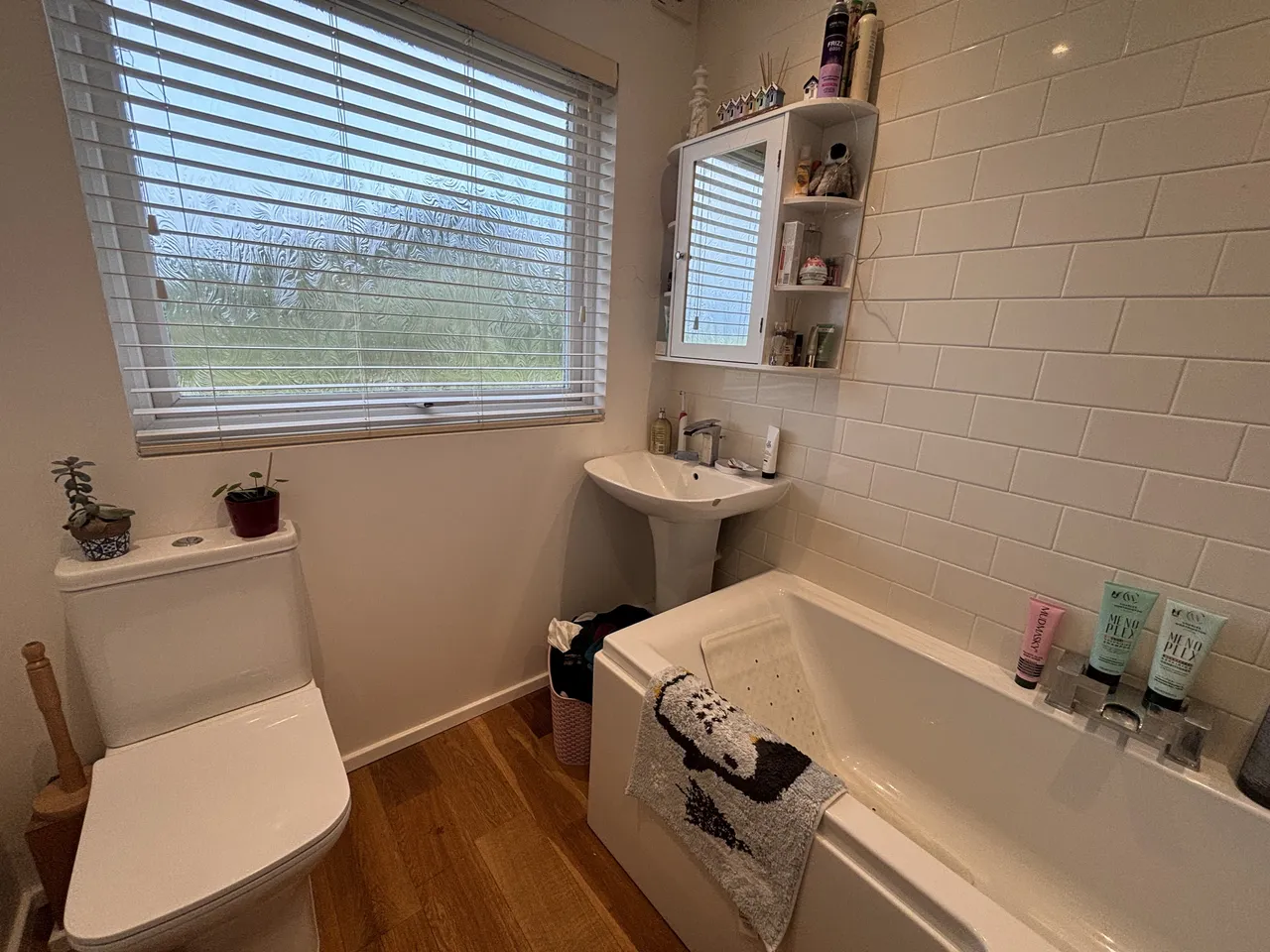 Mill Lane, Bacton, NORWICH, photo 7