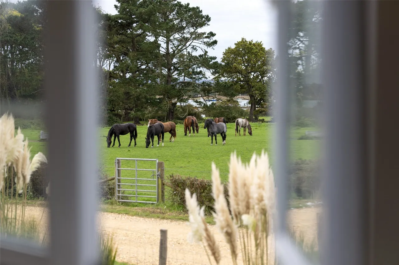 Inchmery Lane, Exbury, SO45, photo 21