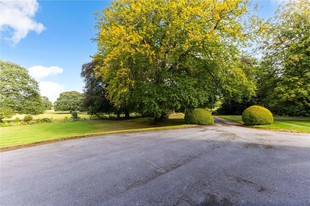 Lygan Y Wern, Pentre Halkyn, CH8, photo 23