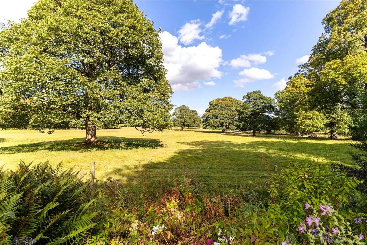 Lygan Y Wern, Pentre Halkyn, CH8, photo 6
