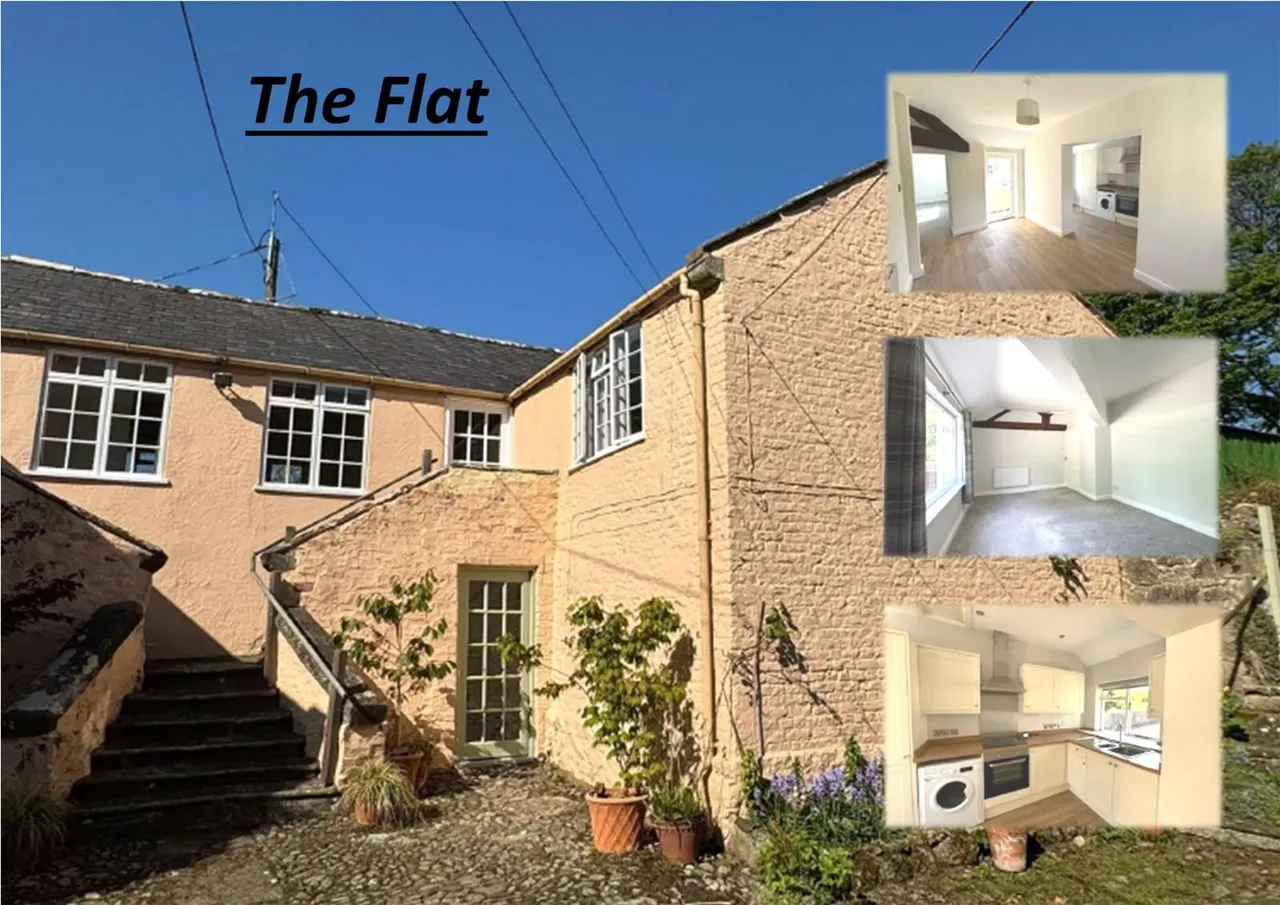 Lygan Y Wern, Pentre Halkyn, CH8, photo 4