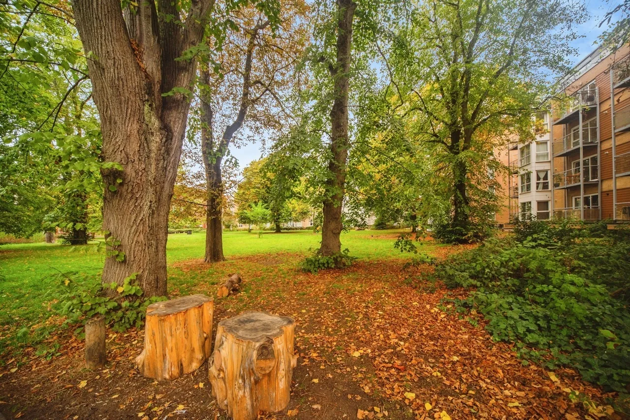 The Avenue, Southampton, SO17, photo 15