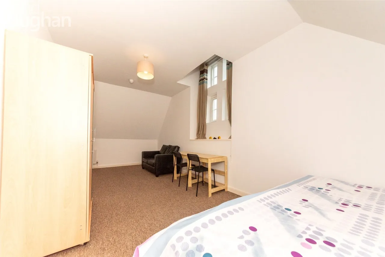 Elm Grove, Brighton, BN2, photo 17