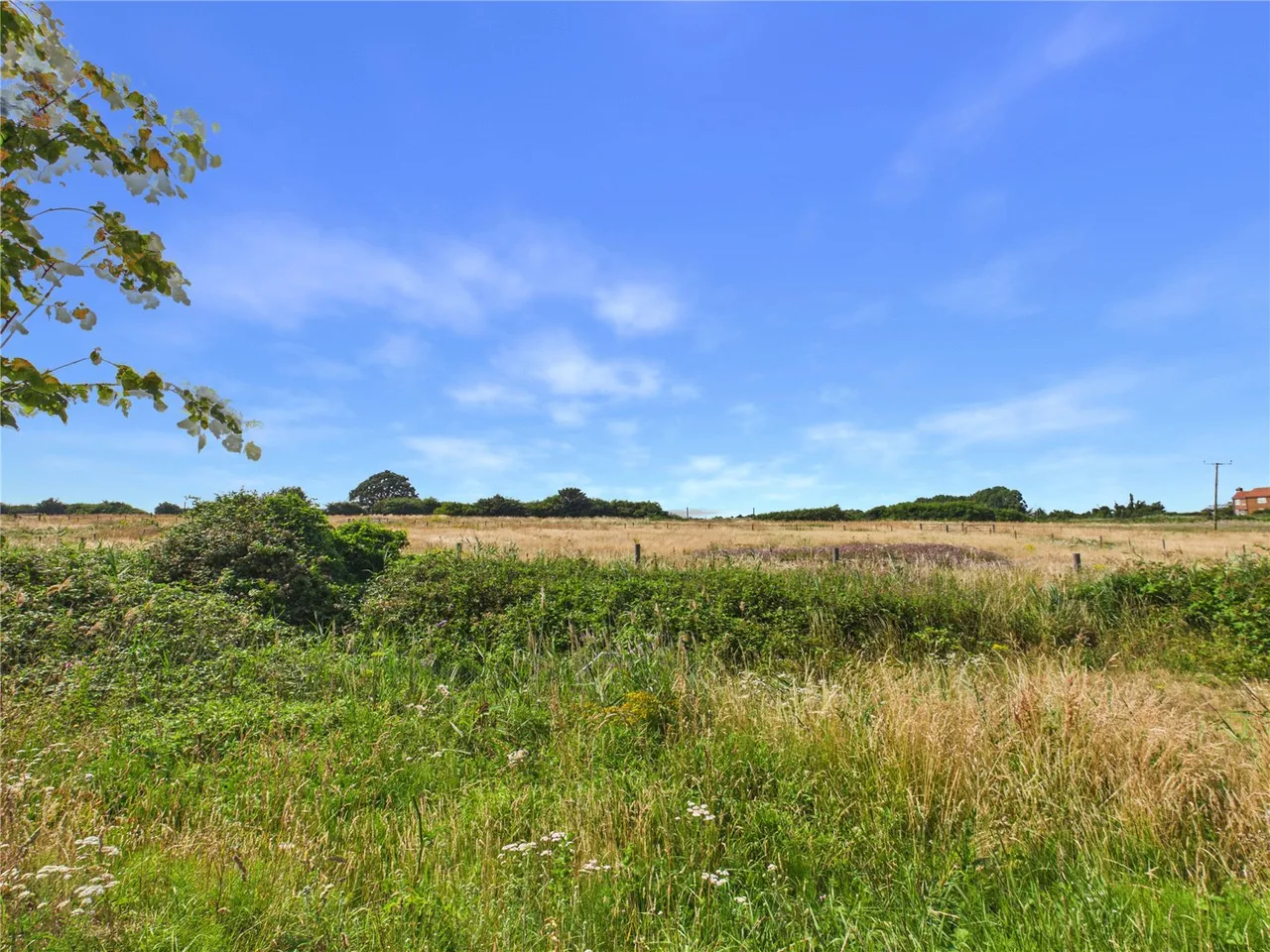 Cowpasture Drive, Felixstowe, IP11, photo 9