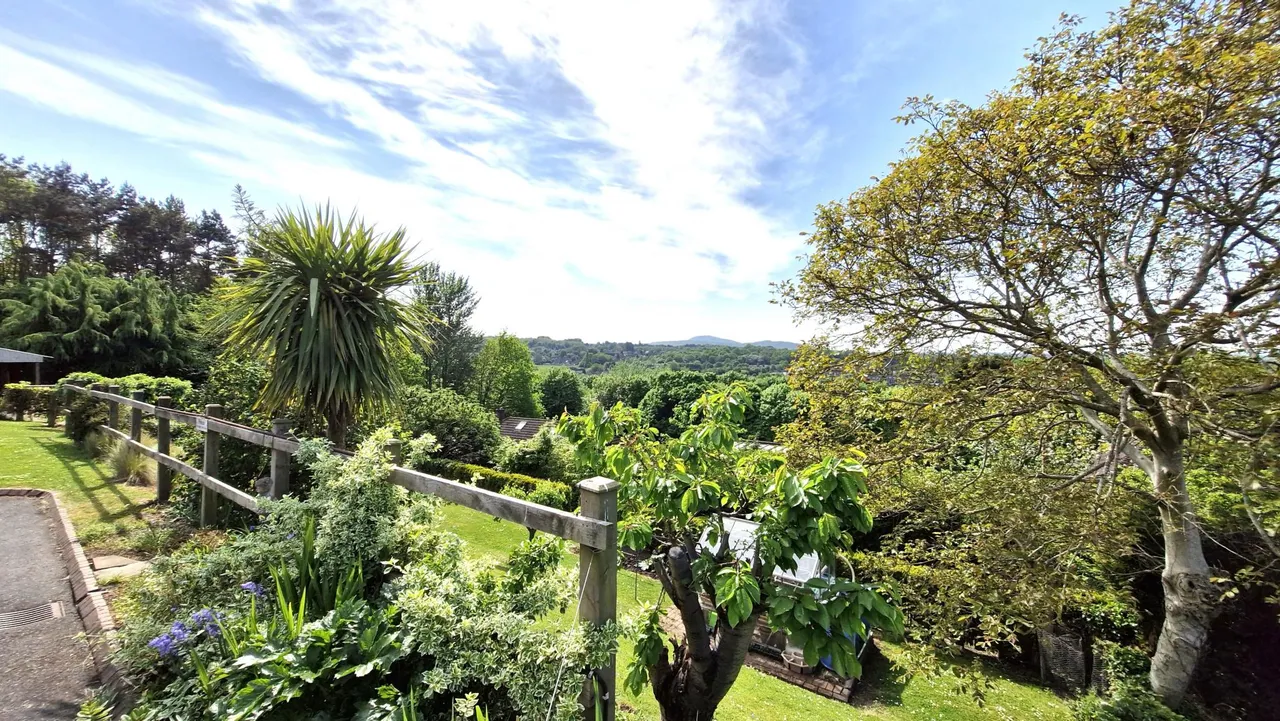Rocfield Terrace, Wrockwardine Wood, TF2, photo 24