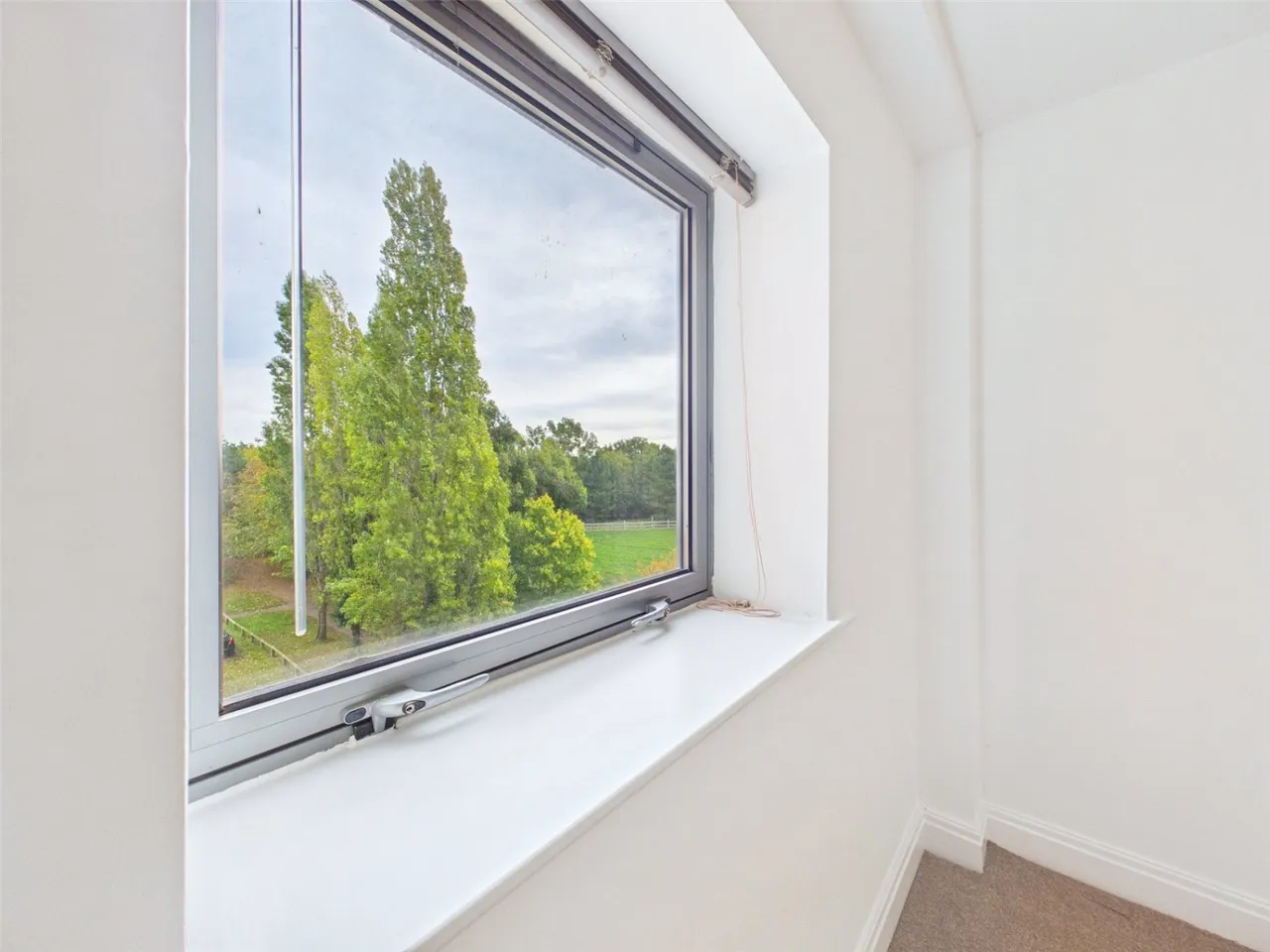 Kentmere Drive, Doncaster, DN4, photo 15