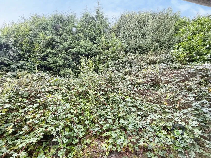 Station Road, Newchapel, Staffordshire, ST7, photo 12