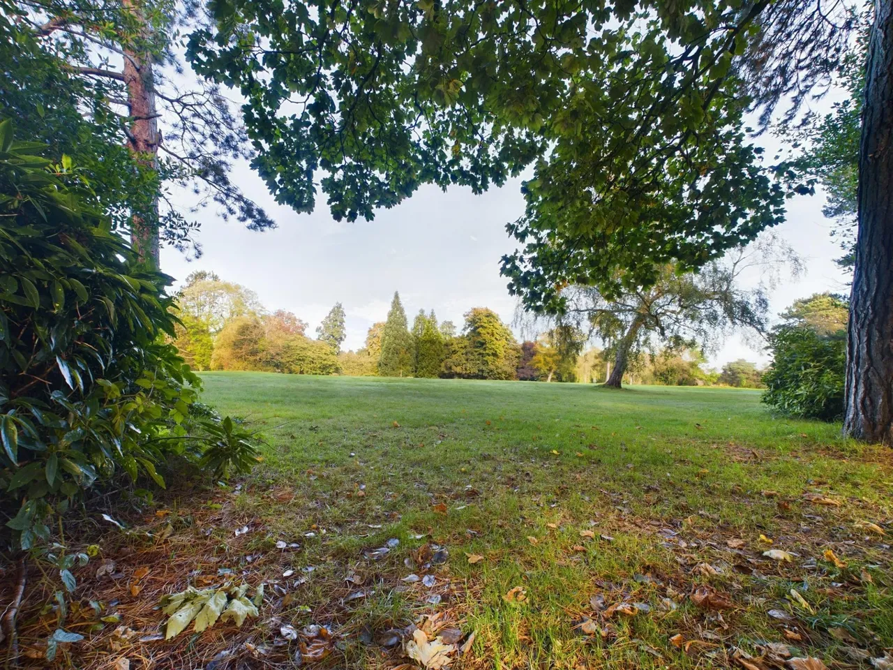 Harlow Moor Drive, Harrogate, HG2, photo 14