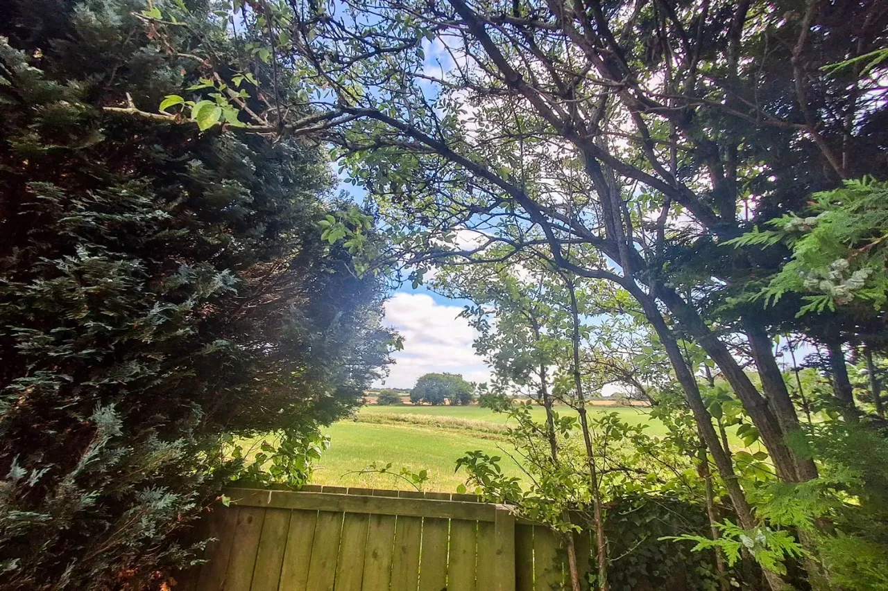 Hunter Close, East Boldon, NE36, photo 20