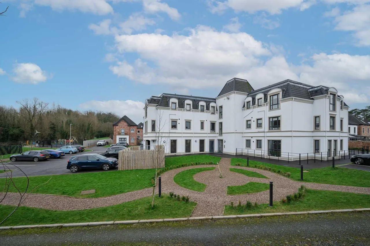 Castlehill Wood, stormont, BT4, photo 22