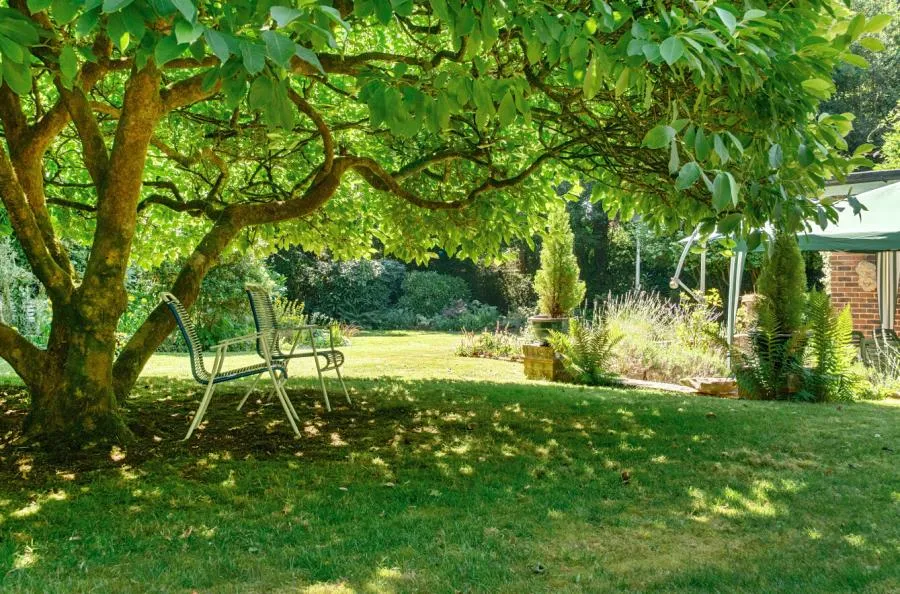 Mutton Hill, Dormansland, RH7, photo 19