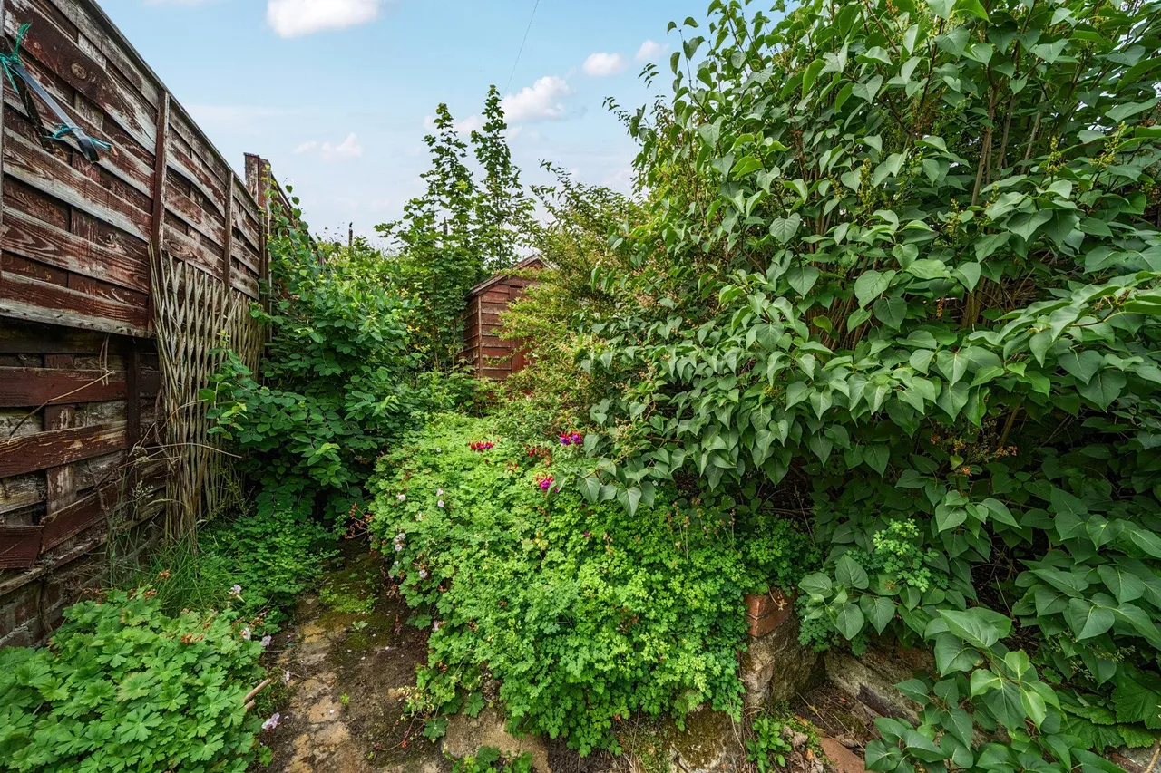 Kings Highway, SE18, photo 10