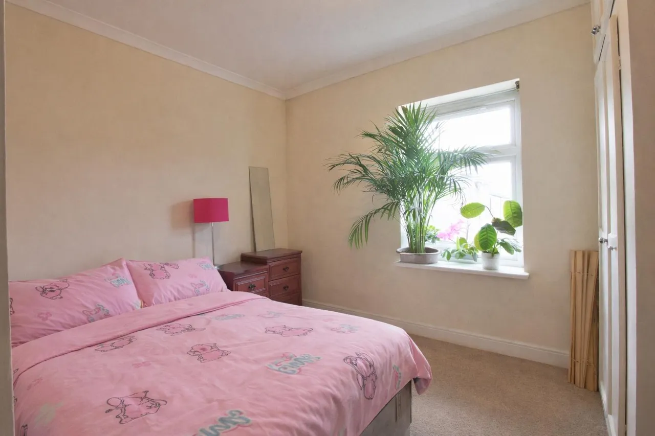 Bishop Street, Newport, NP19, photo 7