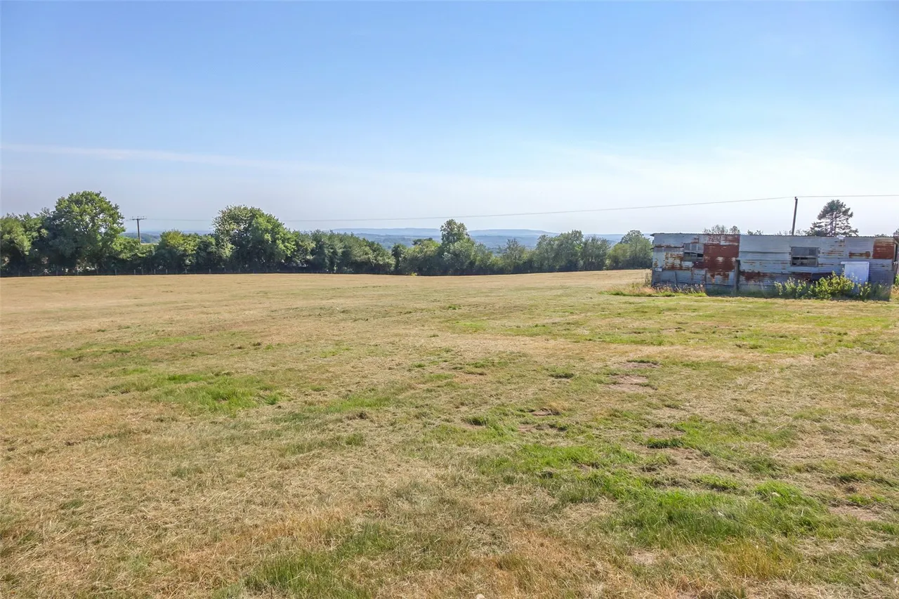 Forest Lane, Punnetts Town, TN21, photo 17