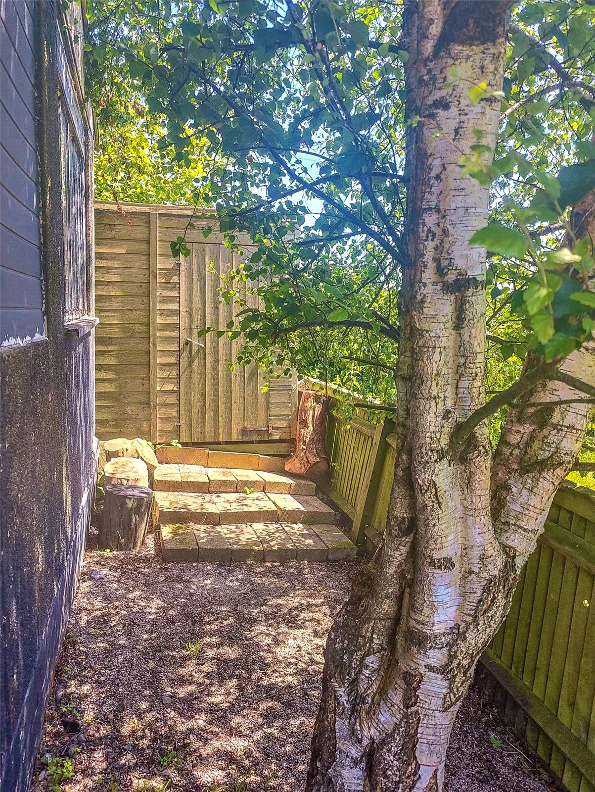 Forest Lane, Punnetts Town, TN21, photo 10