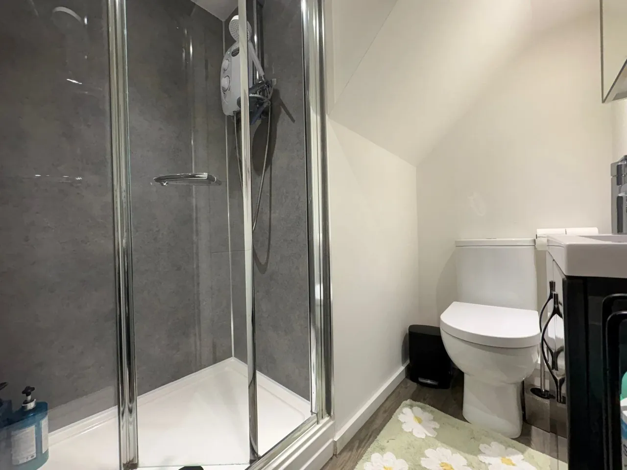 Lodge Road, Southampton, SO14, photo 5