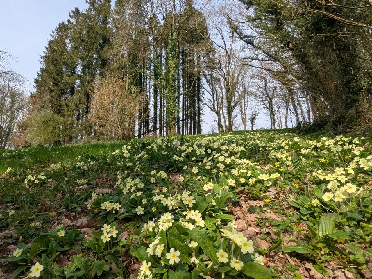 Roborough, Winkleigh, EX19, photo 17