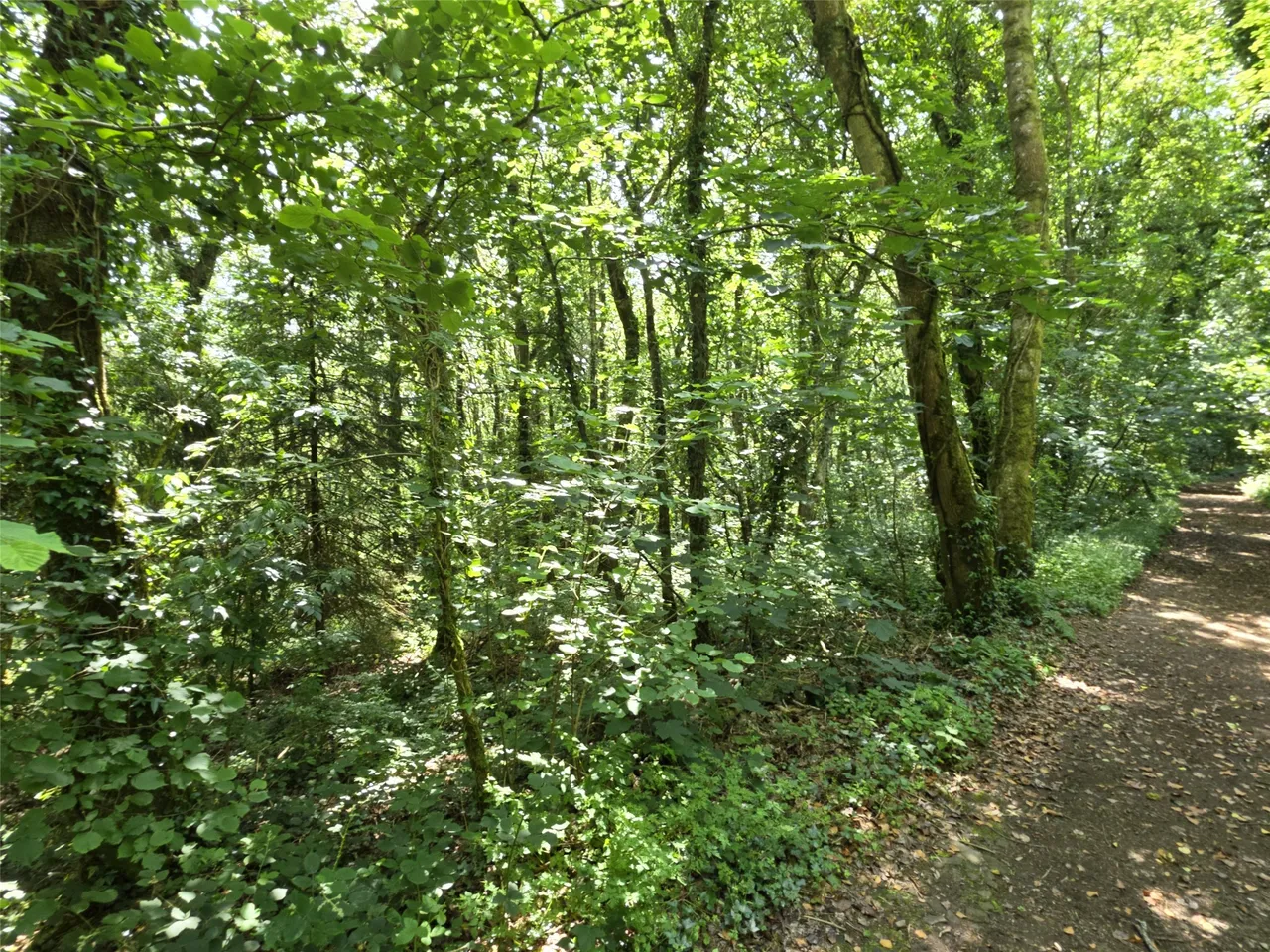 Roborough, Winkleigh, EX19, photo 16