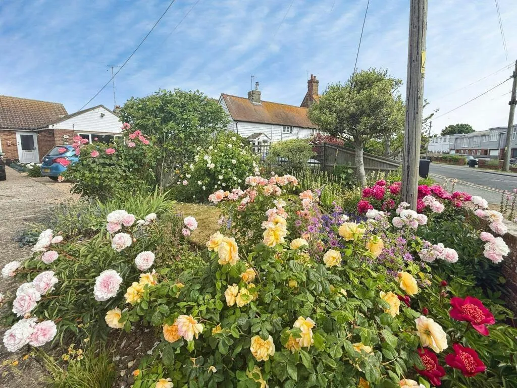 Winchelsea Beach, TN36, photo 14