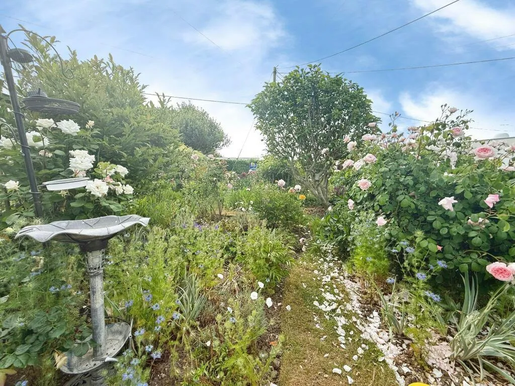 Winchelsea Beach, TN36, photo 16