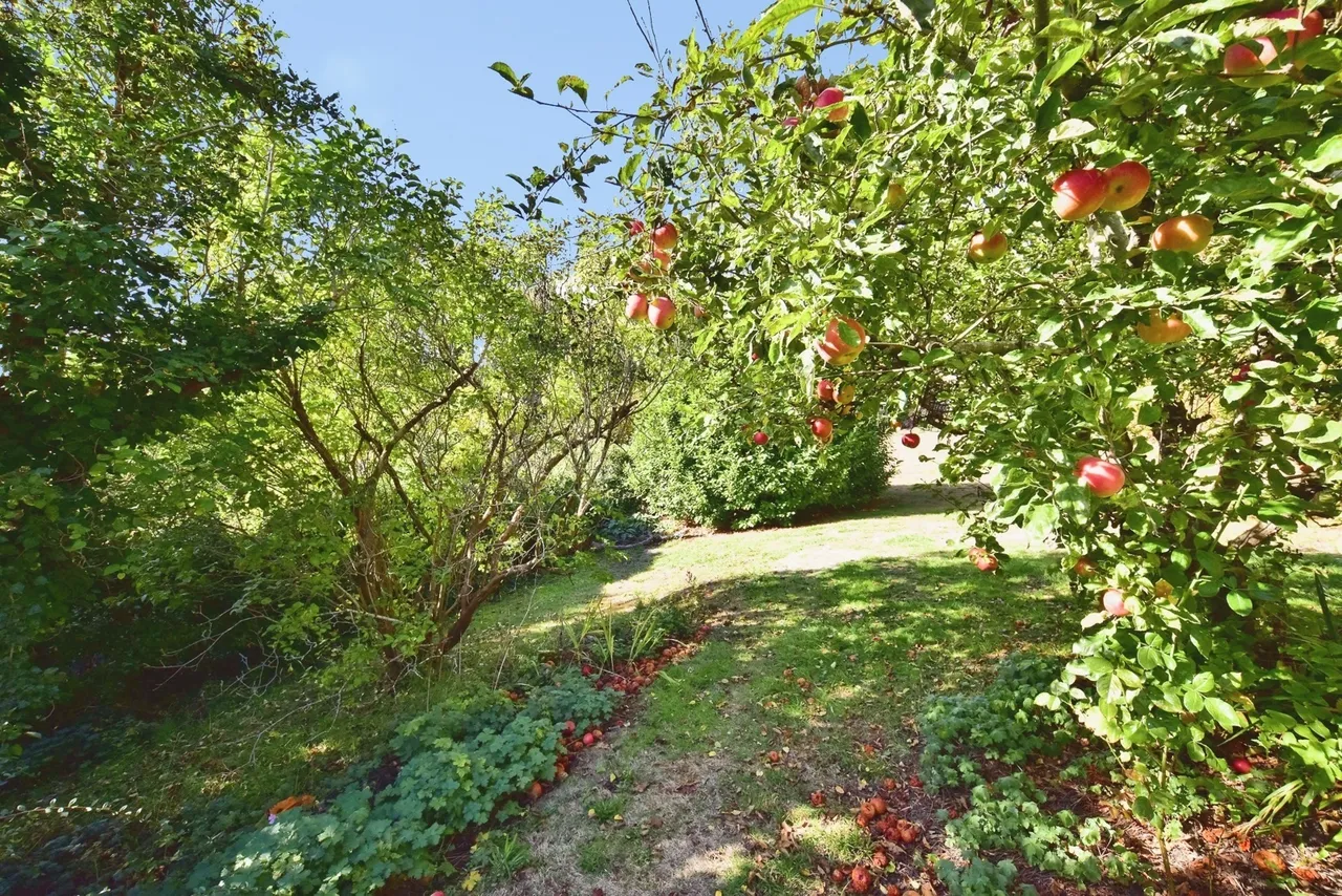 Mote Park, Maidstone, ME15, photo 27