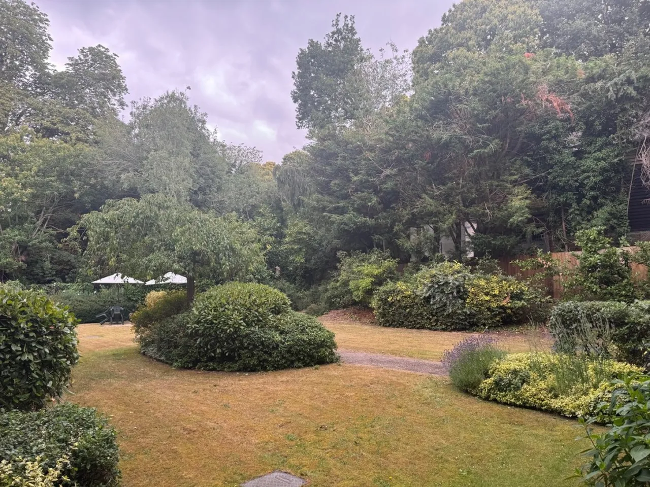 Cliff Lane, Holme Oaks Court, IP3, photo 5