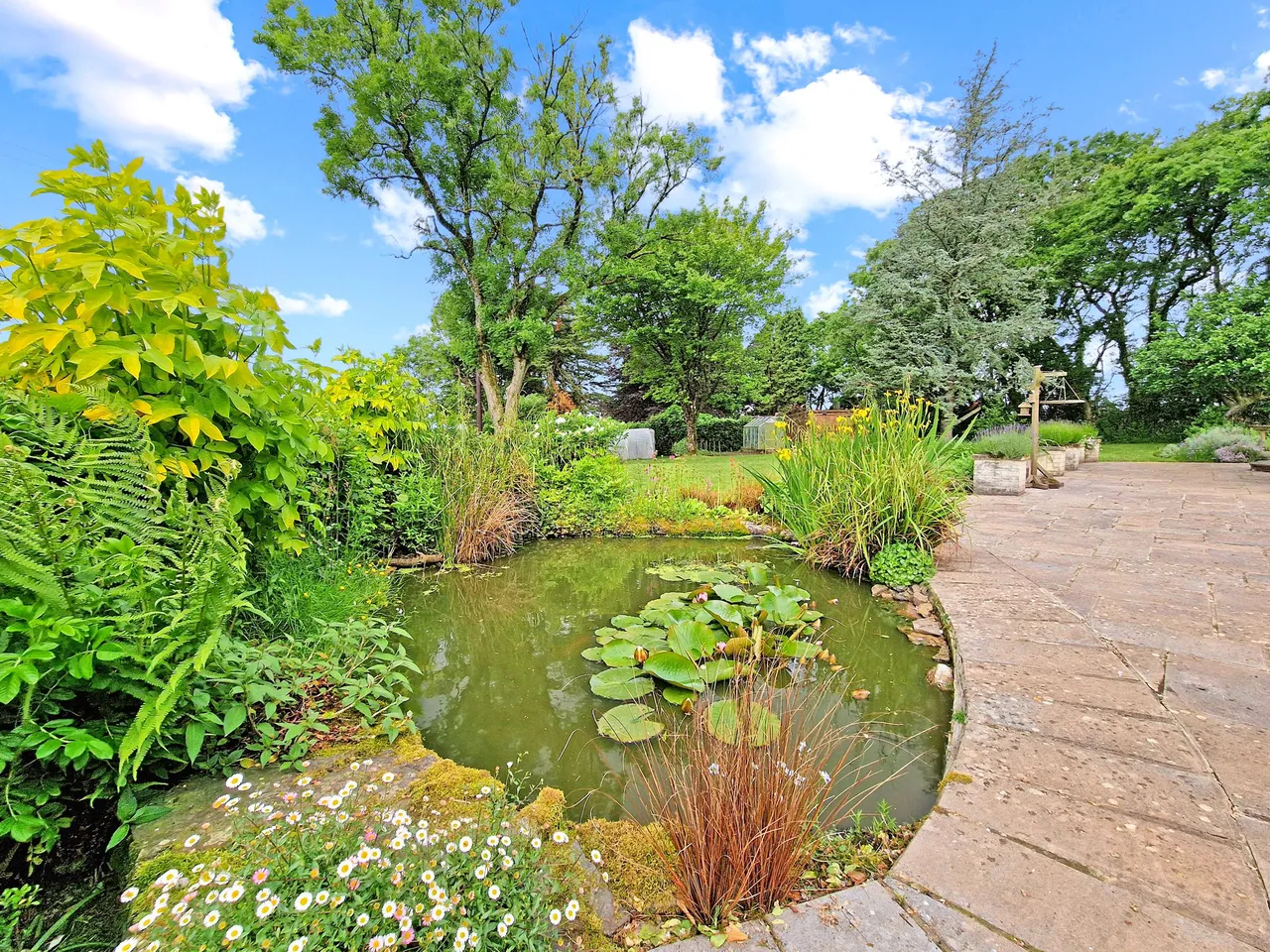 Clawton, Holsworthy, EX22, photo 12
