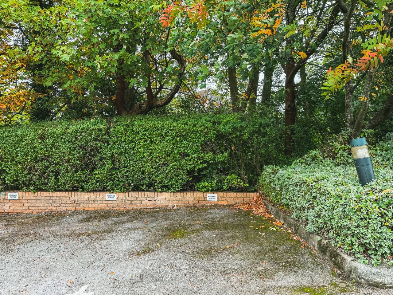 Hallam Chase, Sheffield, S10, photo 15